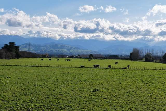 326 Cornwall Road East Taratahi_4