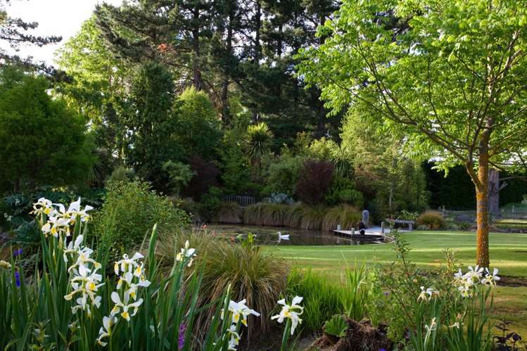 96 Boundary Road Ashley_22