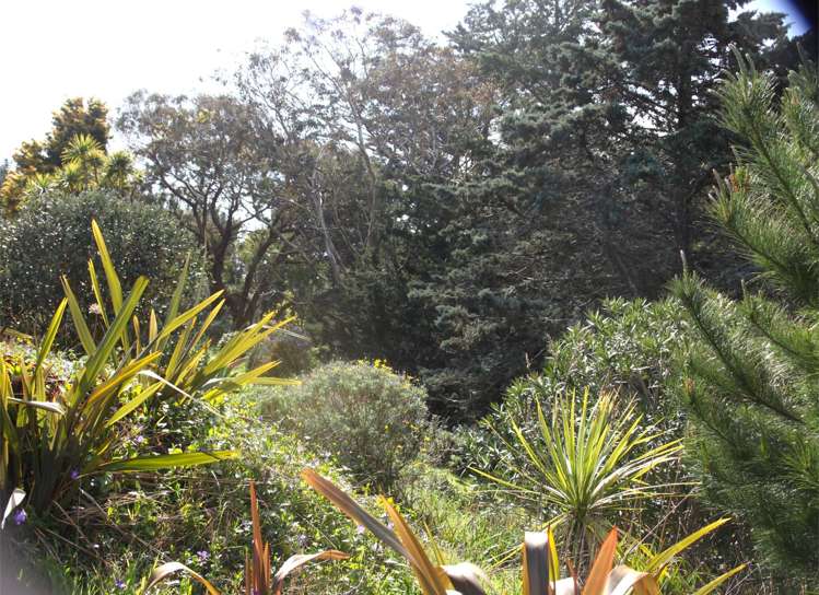 66 Palmer Road Foxton Beach_51