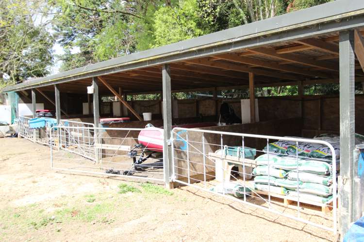 78 Waituna Road Pahiatua_20