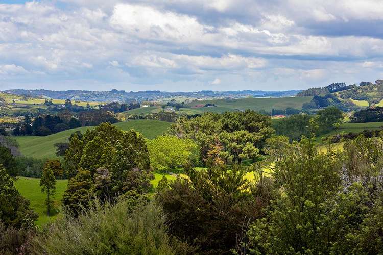 70 Upper Whangateau Road Big Omaha_8