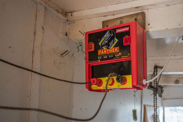 350 Pigeon Bay Road Pigeon Bay_16