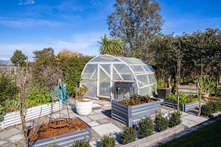 22A Ferry Road Spring Creek_31