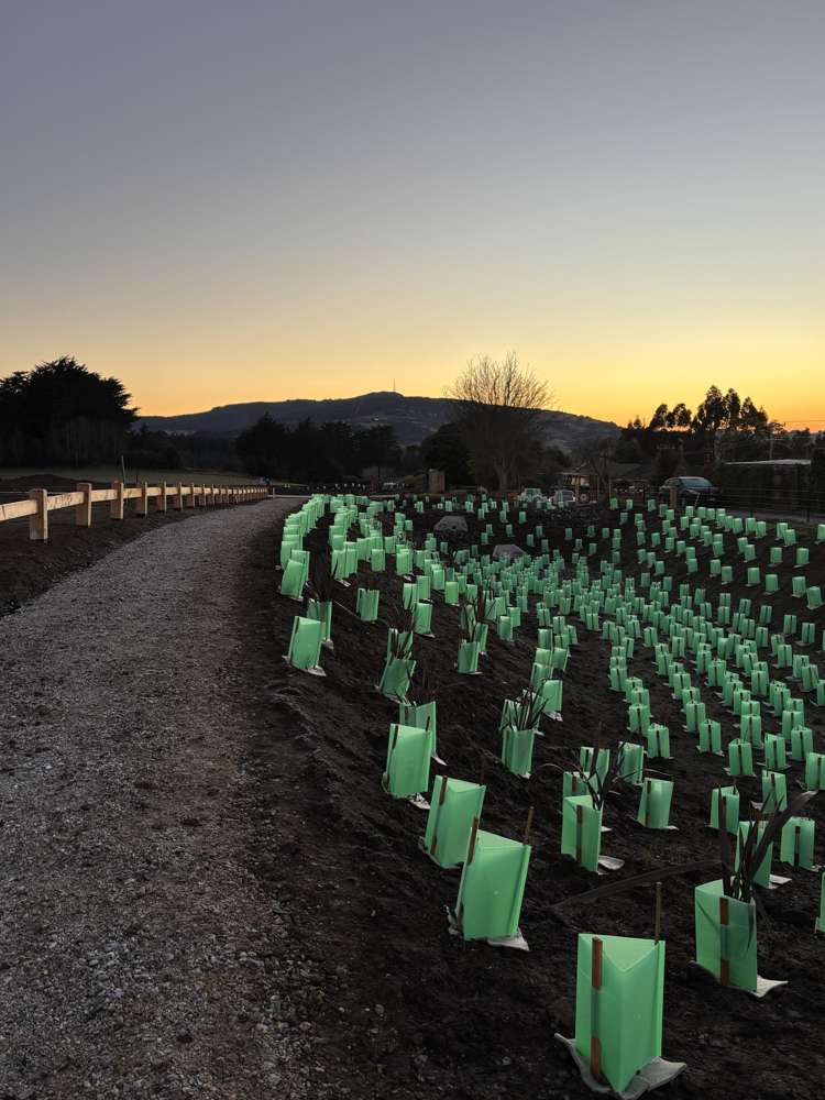 195 Wakari Road Helensburgh_11