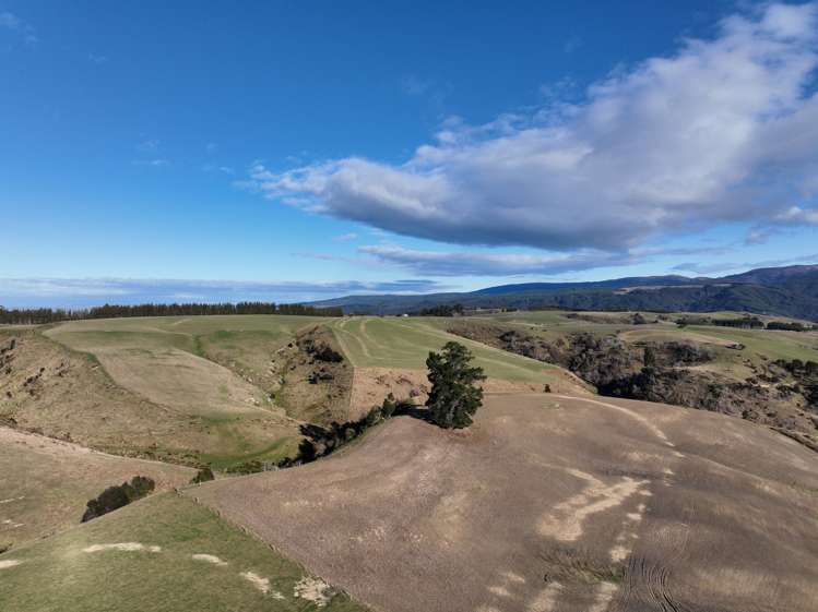 168 Remarkable Road Lawrence_9