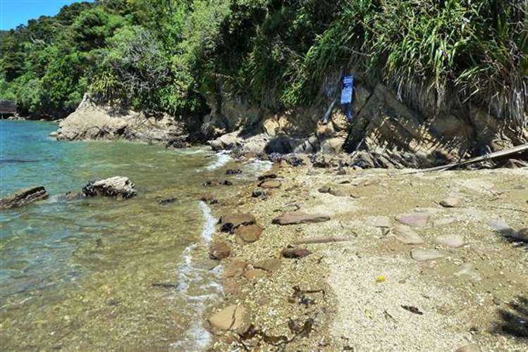Arthurs Bay Kenepuru Sound_11