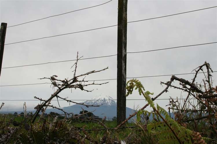 1320 Richmond Road Inglewood_9