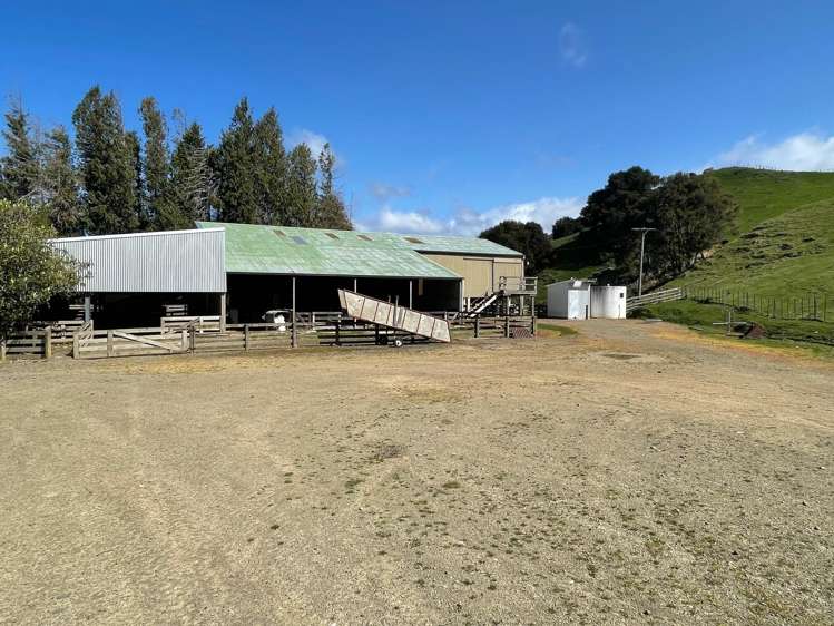 2829 Puketitiri Road Patoka_25