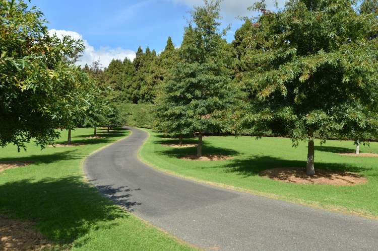 42a Austin Road Maunu_3