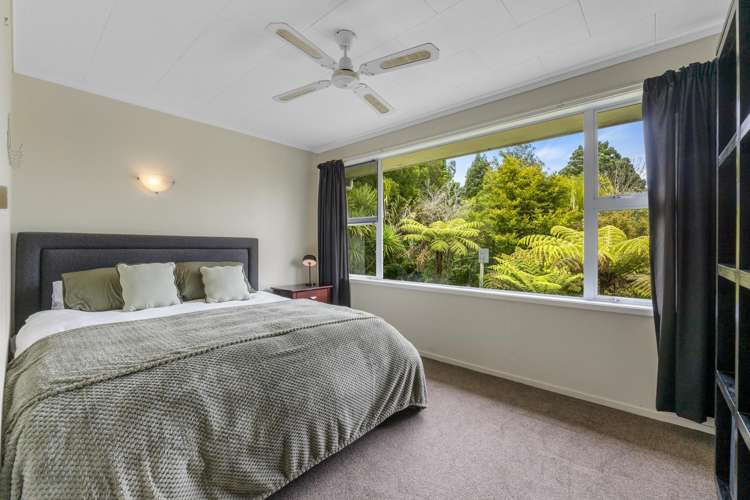 18 Steam Hauler Track Waitakere_16