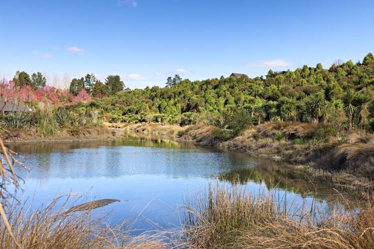 2 Hauruia Way Pyes Pa_16