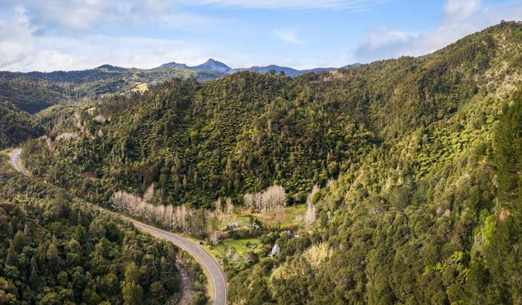 528 Kopu Hikuai SH25A Thames-coromandel_11