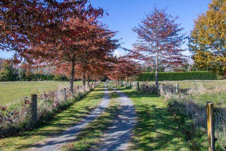 21 Mangatete Road Waikite Valley_2