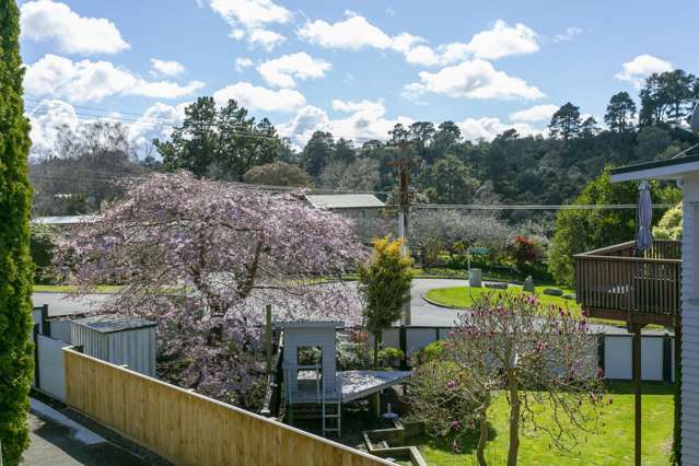 147 Waikato Street Taupo_2