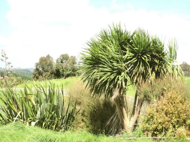 133 Robert Hastie Drive Mangawhai_3