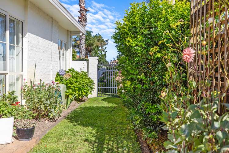 25 Palm Beach Boulevard Papamoa_20