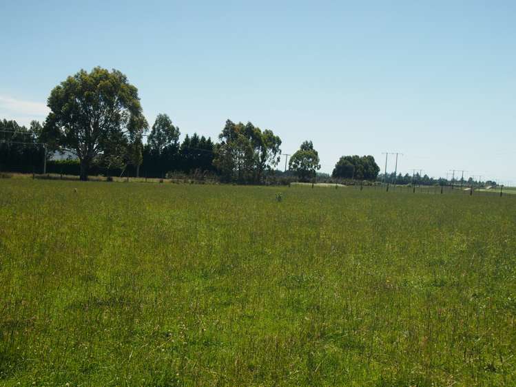 210 Terry Road Gore_8