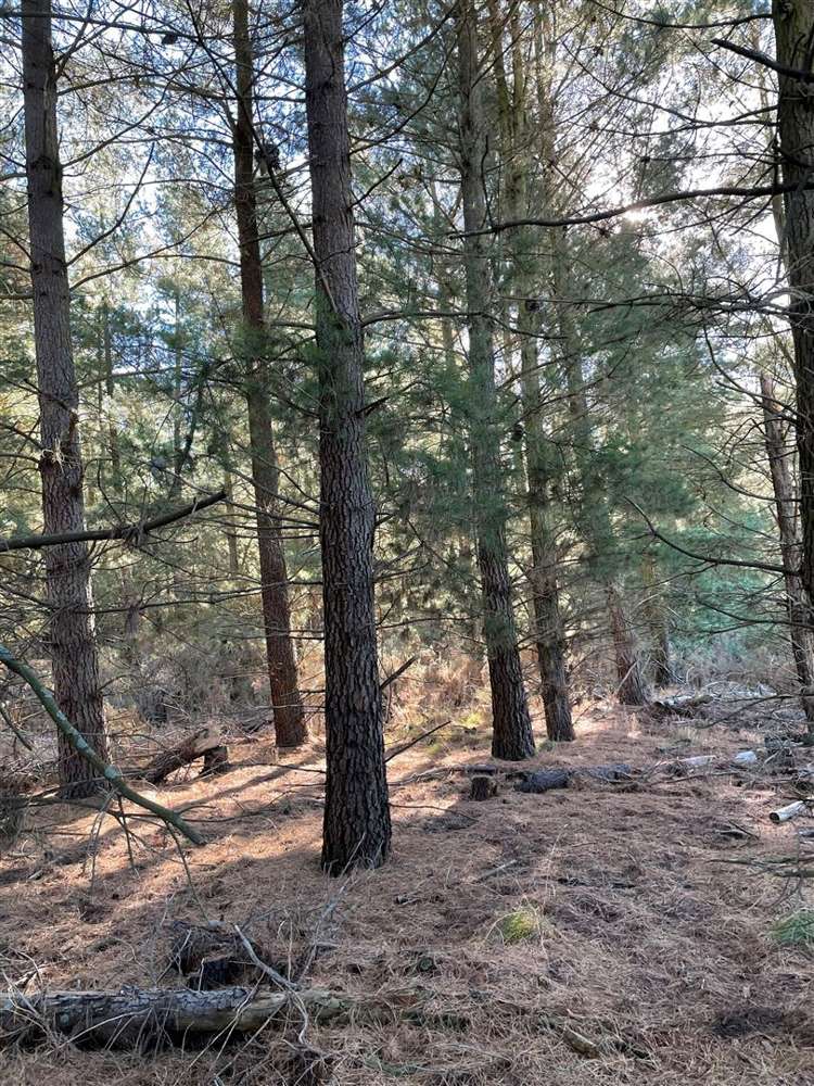 22 Hawkins Road Darfield_2