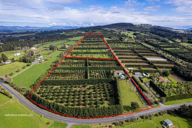 Avocado Orchard with Options - Buy One or Both...