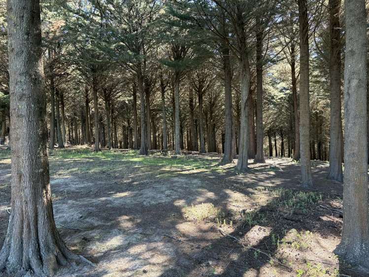 Waihola Hill Road Clarendon_6