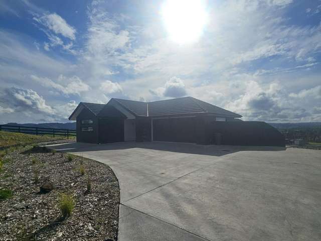 354 Whitehills Road Dairy Flat_2