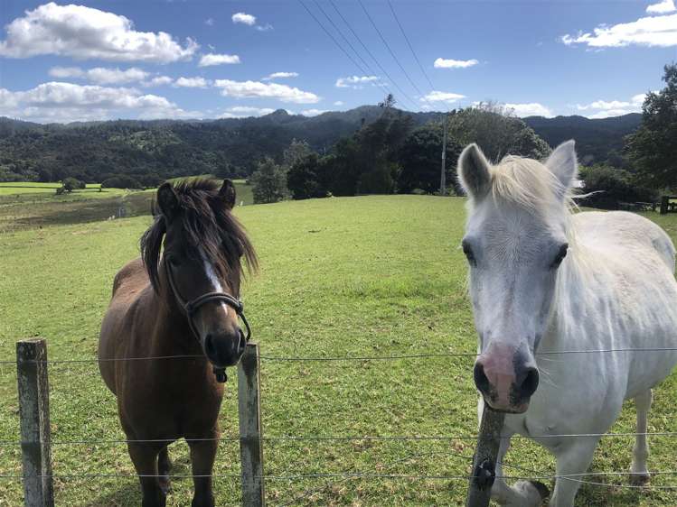 23 Ngunguru Ford Road Kiripaka_20