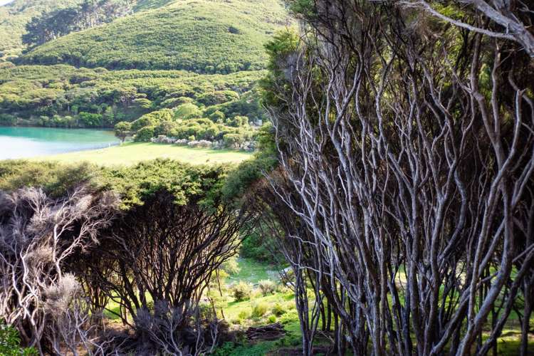 Lot 4 + 5 Te Aroha Bay, Otanerau Bay Marlborough Sounds_29