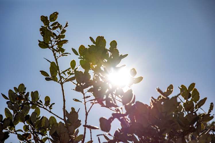 15 Lancaster Street Dinsdale_23