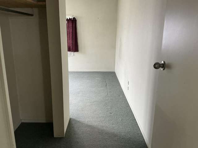 50 Kuripuni Street 10754_4