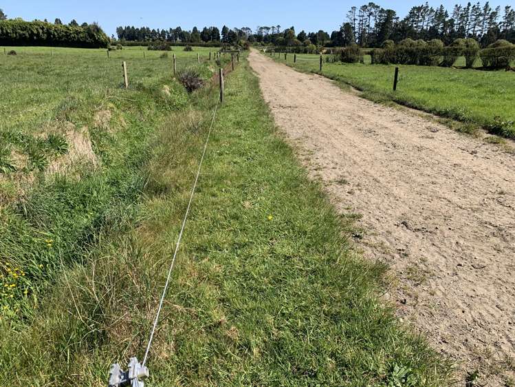 2442 Mountain Road Tariki_10