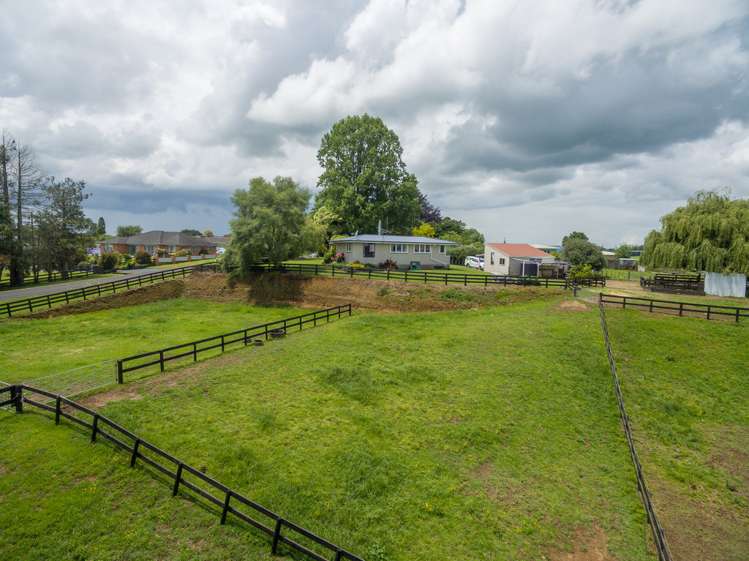 41 Sheehan Street Kihikihi_13