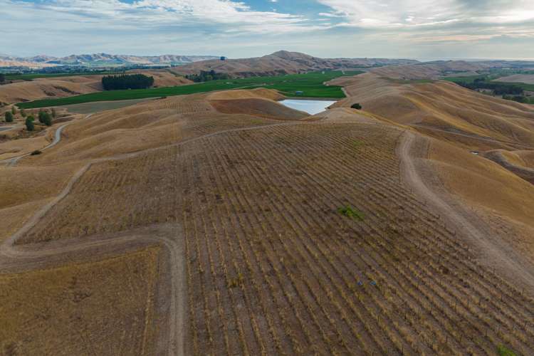 109 Haldons Road Seddon_16