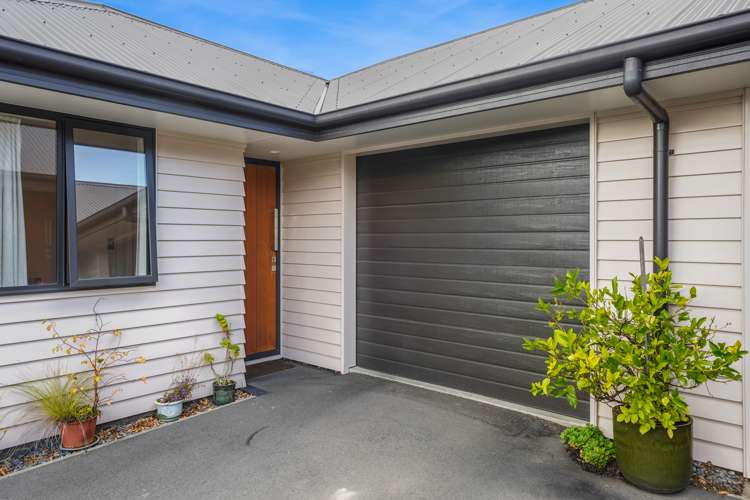 1 Cameron Street Sydenham_14