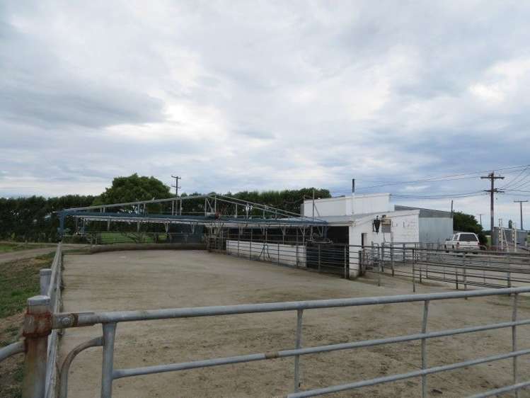 141 Drain Road Leeston_0