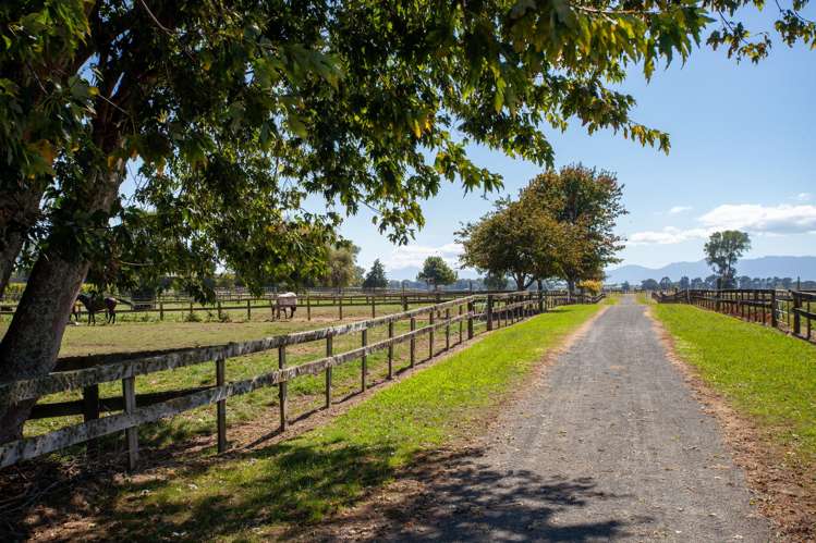 4602A State Highway 29 Matamata_12