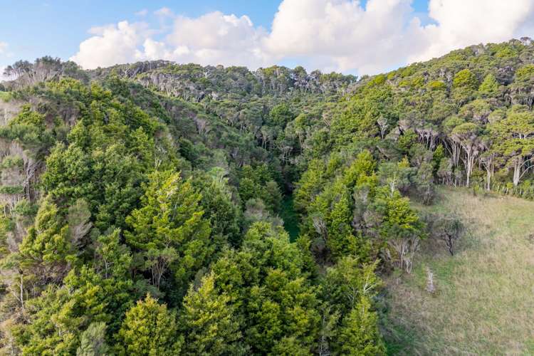 98 Rowland Road Dargaville Surrounds_11