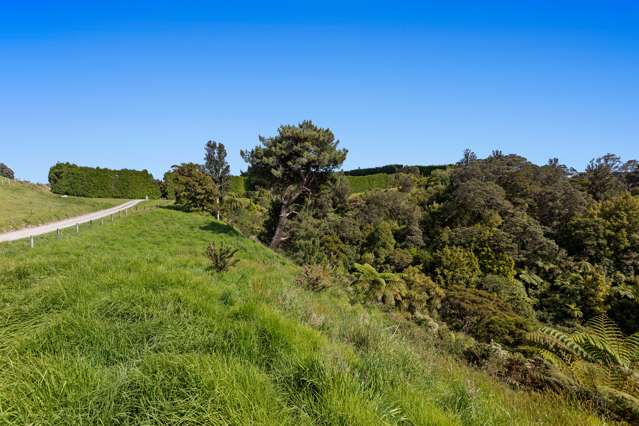 Ohiwa Harbour Road Opotiki and Surrounds_4