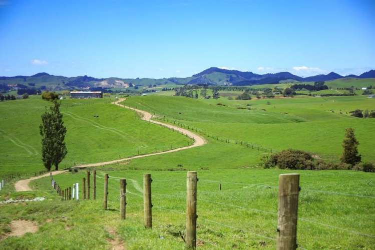 103a Ginn Road Huntly_9