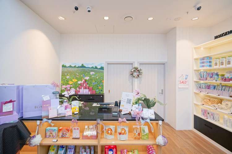 41 Willis Street Central Wellington Central_4