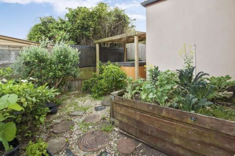 181 Cook Street Howick_15