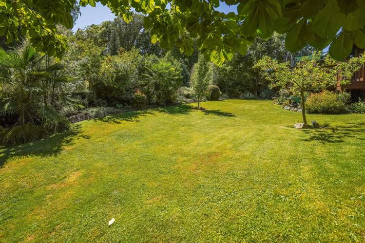 16 Robinson Street Cheviot_23