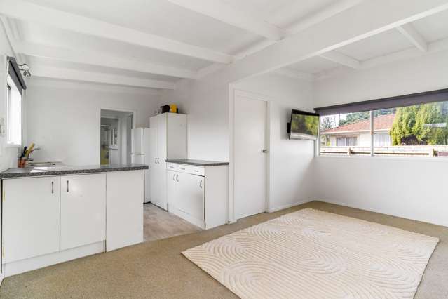 1/3 Vine Street Mangere East_4