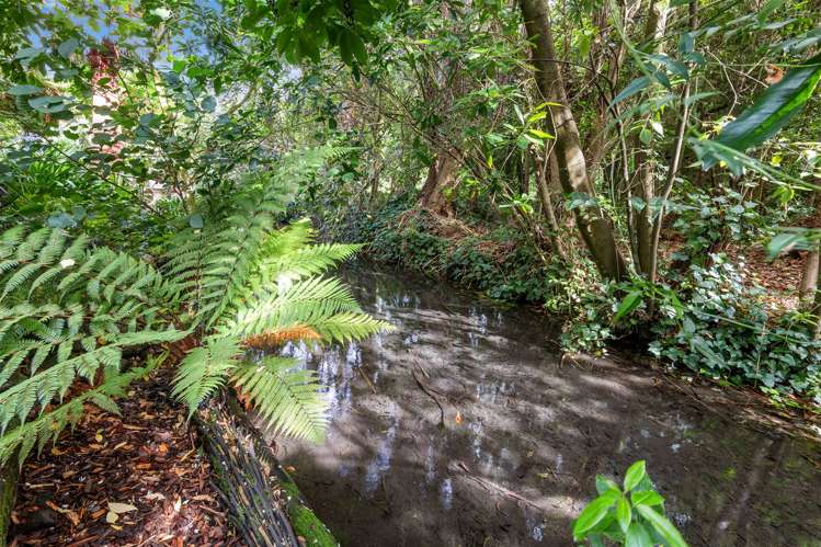 5 Majestic Lane Cashmere_20