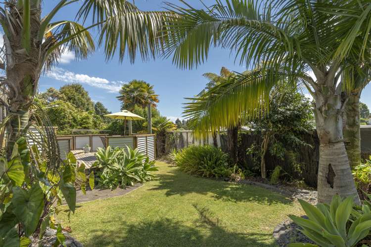 36a Judea Road Judea_14