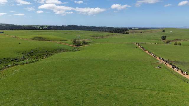 518 Mangakaretu Road Kerikeri_2