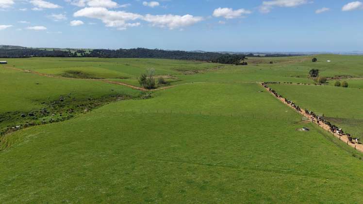 518 Mangakaretu Road Kerikeri_2