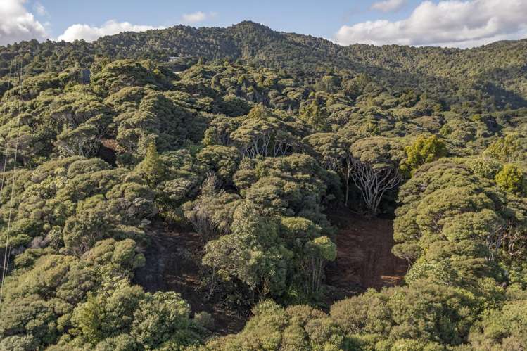 14 La Trobe Track Karekare_6