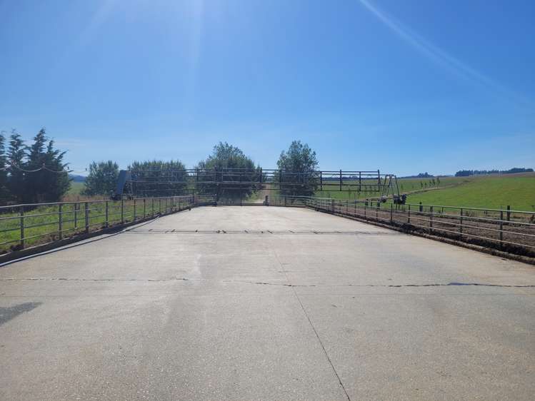 630 Clydevale Road Clinton and Surrounds_16