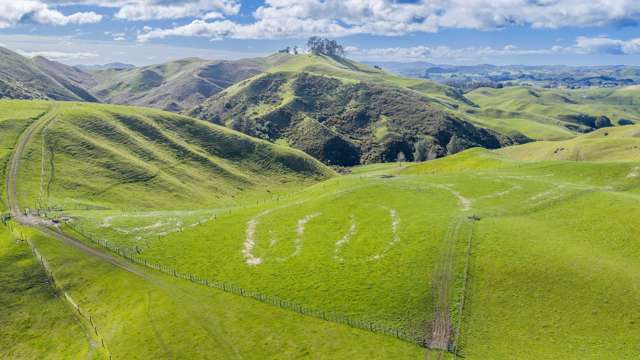 418 Tikokino Road Waipawa_4