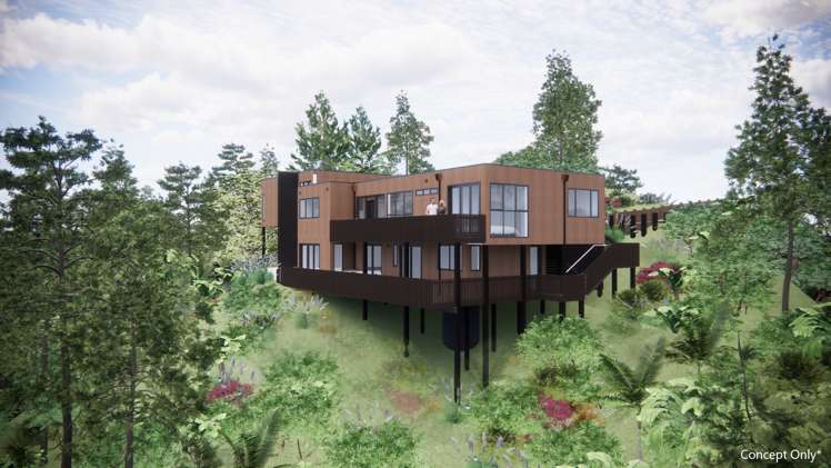 39h Cape Horn Road Mount Roskill_3